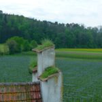 Besichtigung von Schloss Giessen