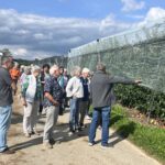 Sommerfest 2025
