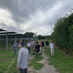 Sommerfest 2026